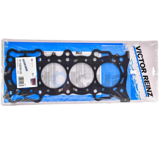 61-52695-00 Reinz Прокладка ГБЦ