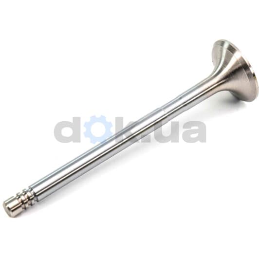 V171004 BGA Випускний клапан