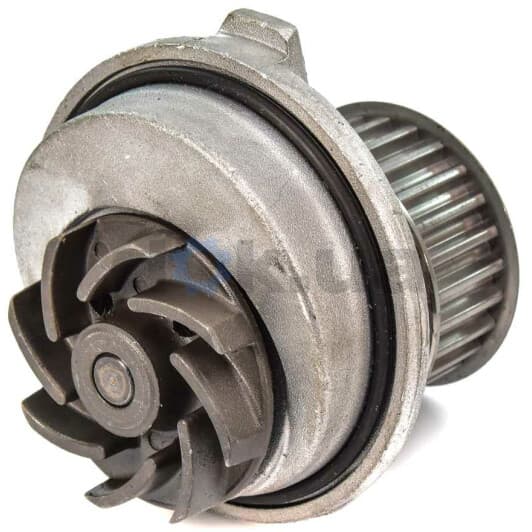 O138 Dolz Помпа