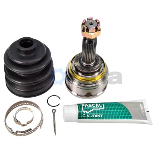 G15005PC Pascal ШРУС