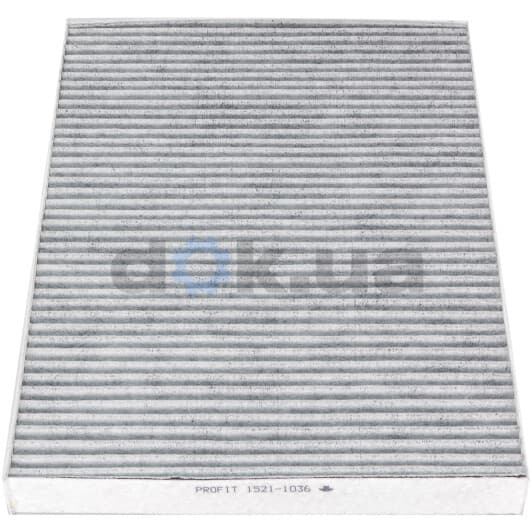 1521-1036 Profit Фільтр салону