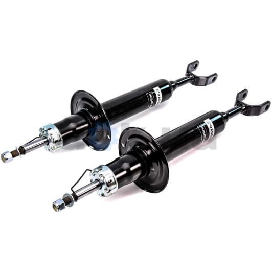 TL S00010.2 Starline Амортизатор