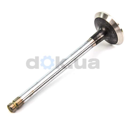 R6095/RCR Freccia Випускний клапан