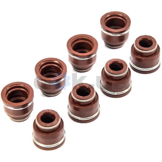 12-52733-01 Reinz Комплект сальников клапанов