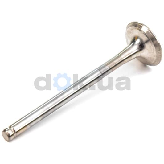 R4875/RCR Freccia Выпускной клапан