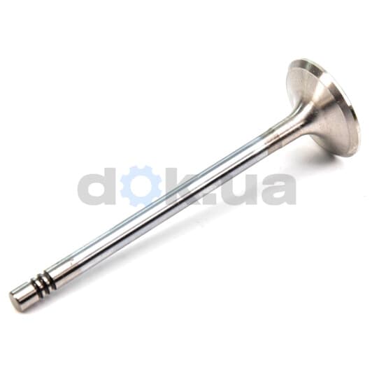 R6309/BMCR Freccia Випускний клапан