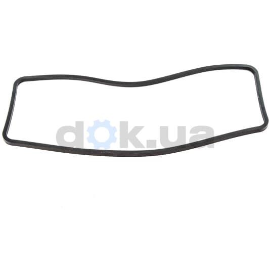 71-19799-10 Reinz Прокладка клапанної кришки