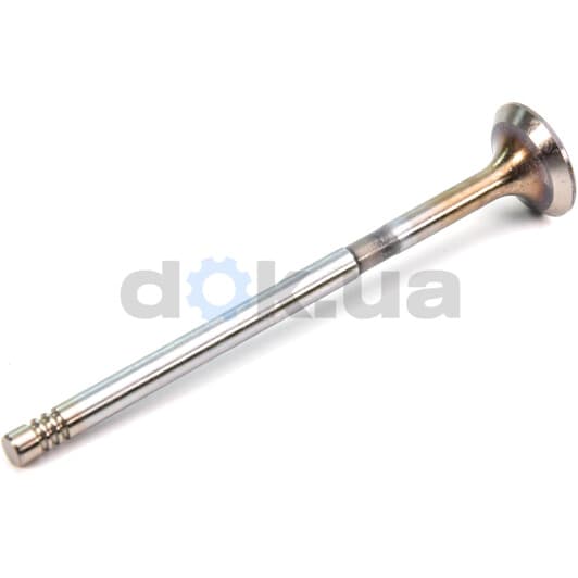 R6304/SCR Freccia Впускной клапан