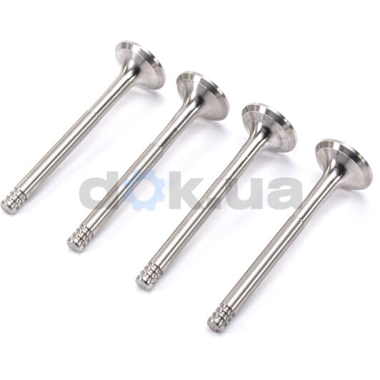 R4367/R Freccia Выпускной клапан