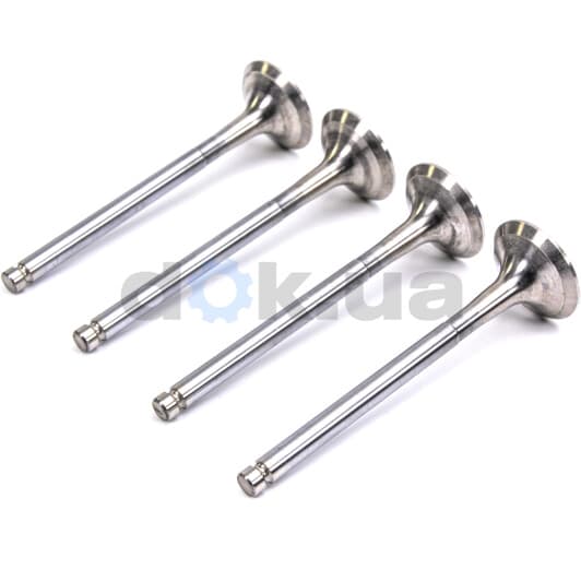 R4547/RCR Freccia Выпускной клапан