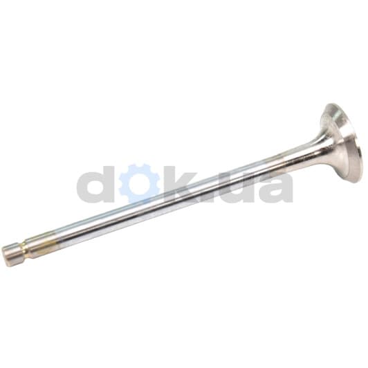 R6148/RCR Freccia Выпускной клапан