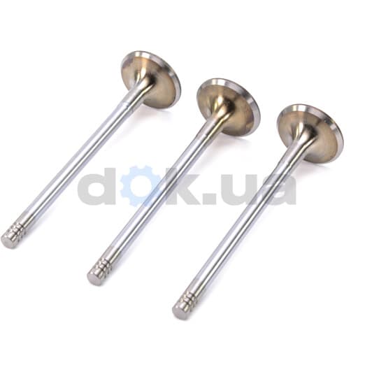 R6085/SCR Freccia Впускной клапан