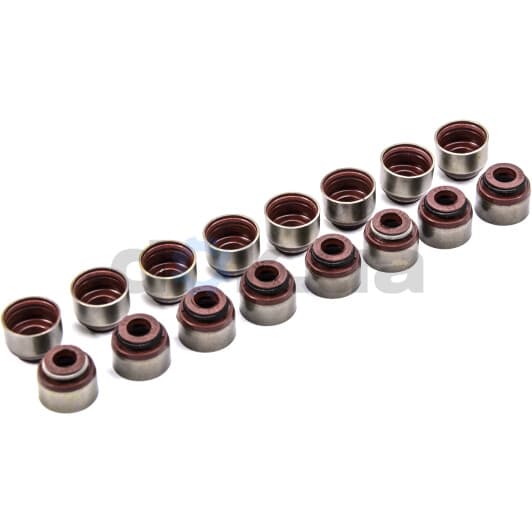 12-53539-01 Reinz Комплект сальників клапанів