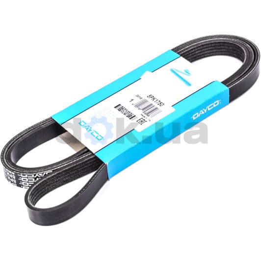 7PK1750 Dayco Поликлиновой ремень