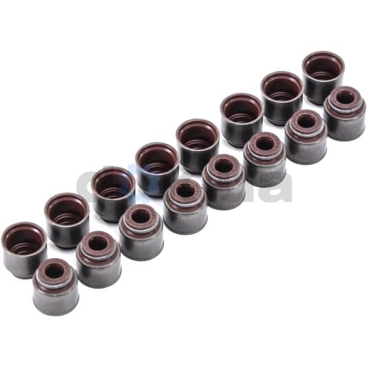 19036016 Corteco Комплект сальников клапанов