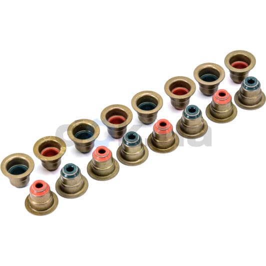 12-33032-01 Reinz Комплект сальників клапанів