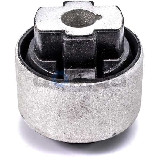 2250005 Sasic Сайлентблок рычага