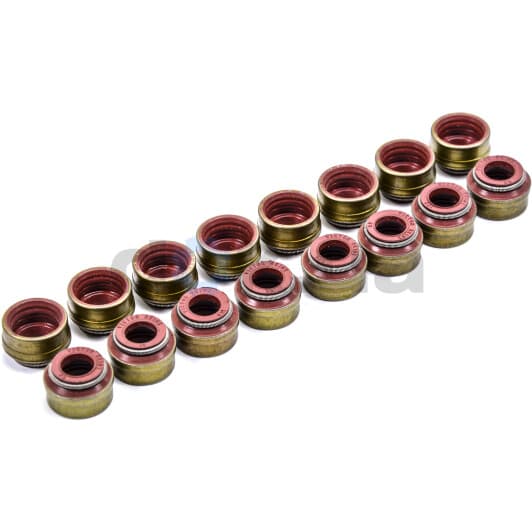 12-29491-01 Reinz Комплект сальников клапанов