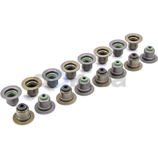 HR5063 Payen Комплект сальников клапанов