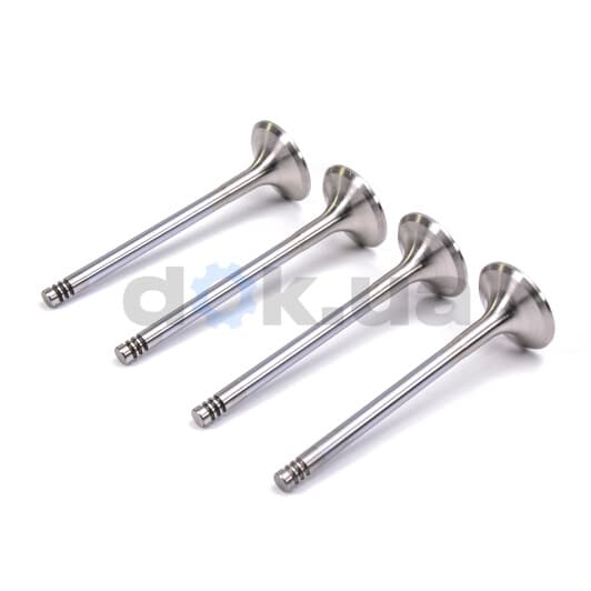 R4650/BMCR Freccia Выпускной клапан