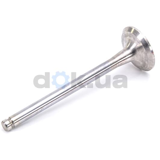 R4384/RCR Freccia Выпускной клапан