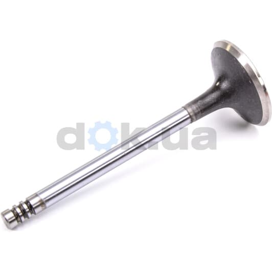 V91188 AE Выпускной клапан