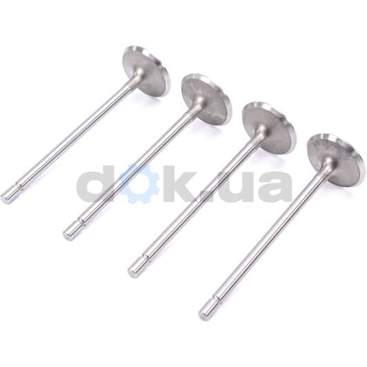 R6029/S Freccia Впускной клапан