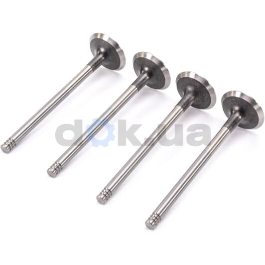 R6186/BM Freccia Выпускной клапан