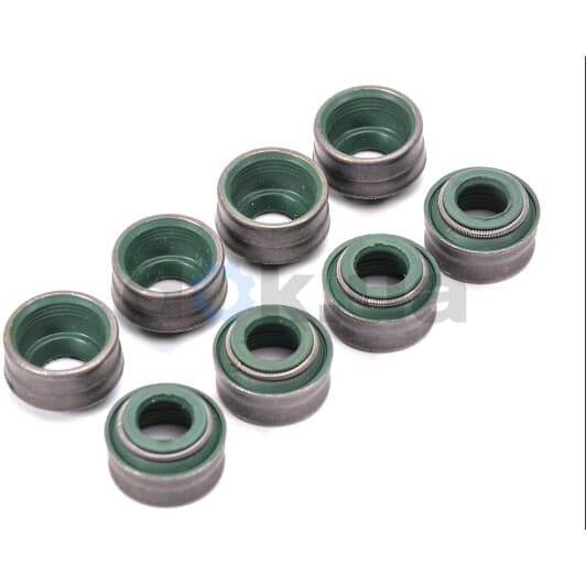 12-27408-01 Reinz Комплект сальників клапанів