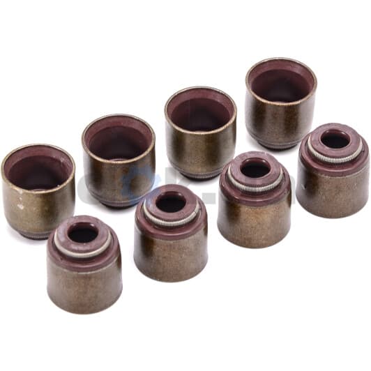 12-53087-01 Reinz Комплект сальників клапанів