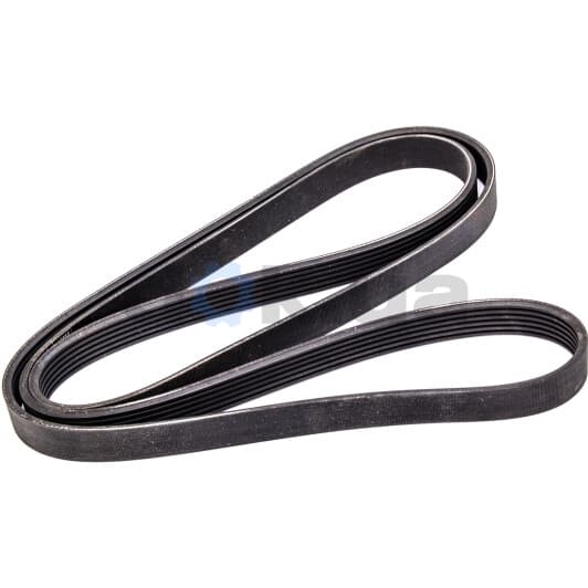 VKMV 6PK1815 SKF Поликлиновой ремень