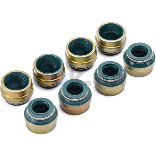 70-25837-00 Reinz Сальник клапана