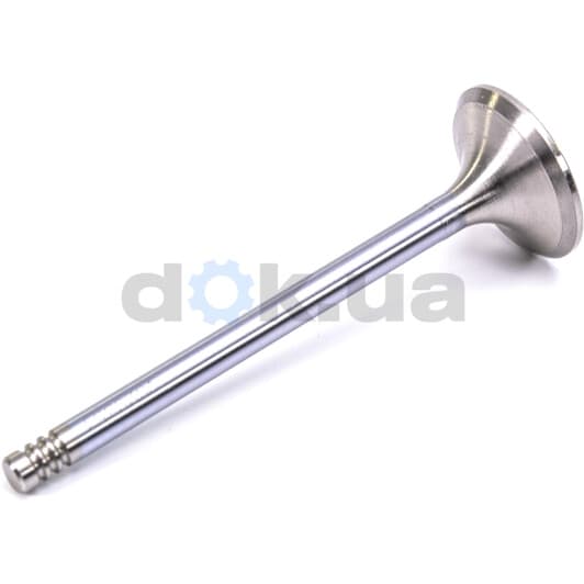 V029354 BGA Выпускной клапан