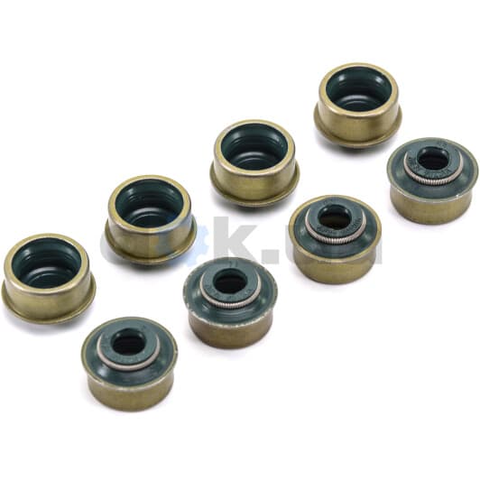 12-26546-01 Reinz Комплект сальников клапанов