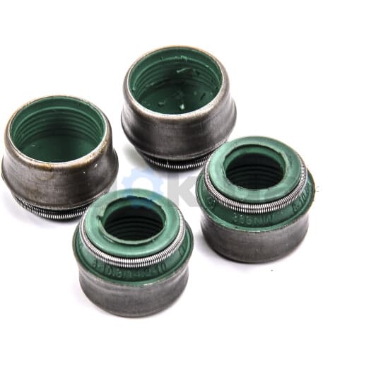 50-306670-50 Goetze Сальник клапана