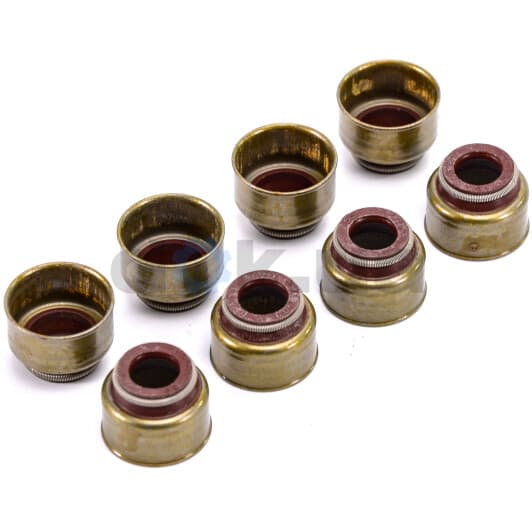 12-52722-01 Reinz Комплект сальников клапанов