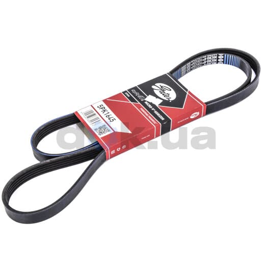 5PK1645 Gates Поликлиновой ремень