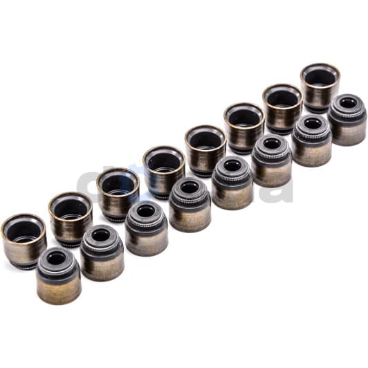 19036103 Corteco Комплект сальников клапанов