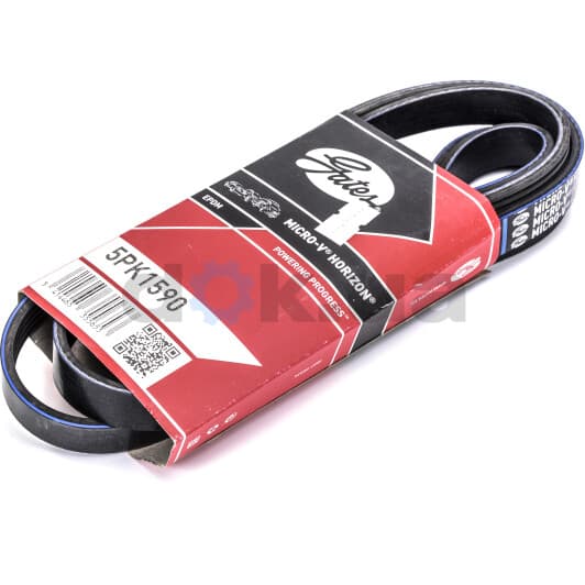 5PK1590 Gates Поліклиновий ремінь