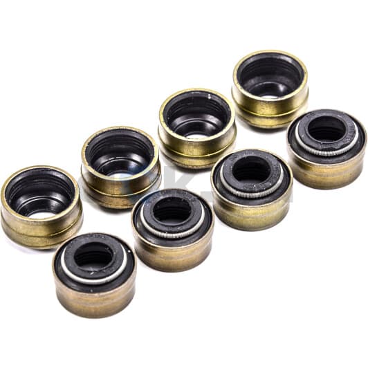 12-24491-02 Reinz Комплект сальников клапанов