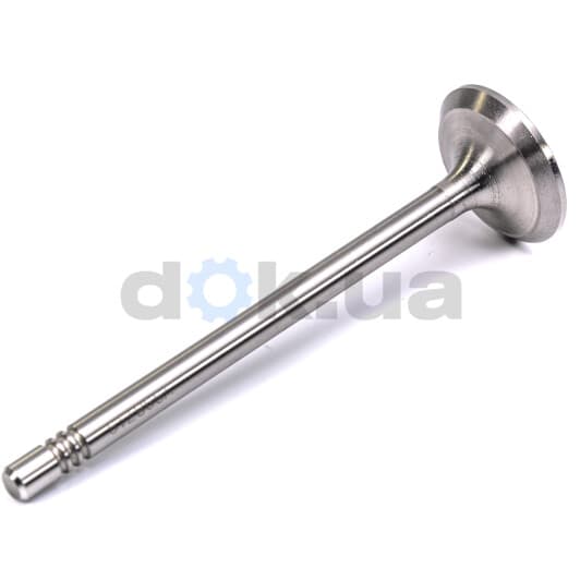 V998719 BGA Выпускной клапан