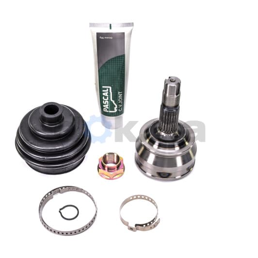 G1F027PC Pascal ШРУС