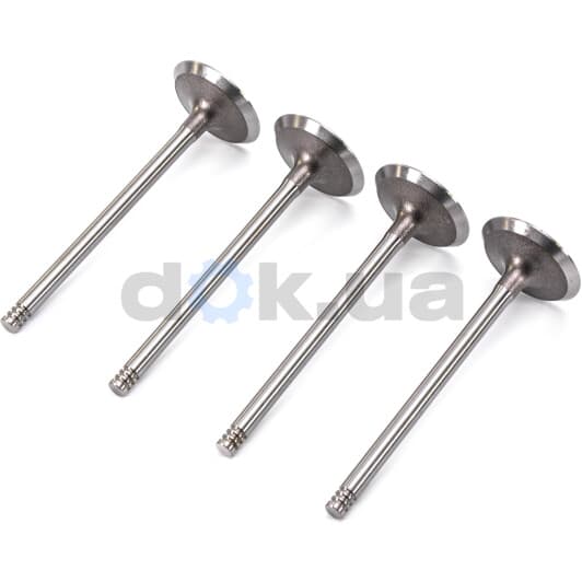 R6185/S Freccia Впускной клапан