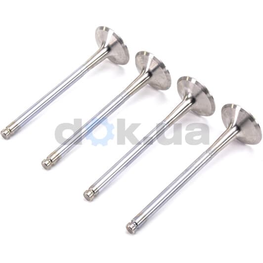 R4575/RCR Freccia Випускний клапан