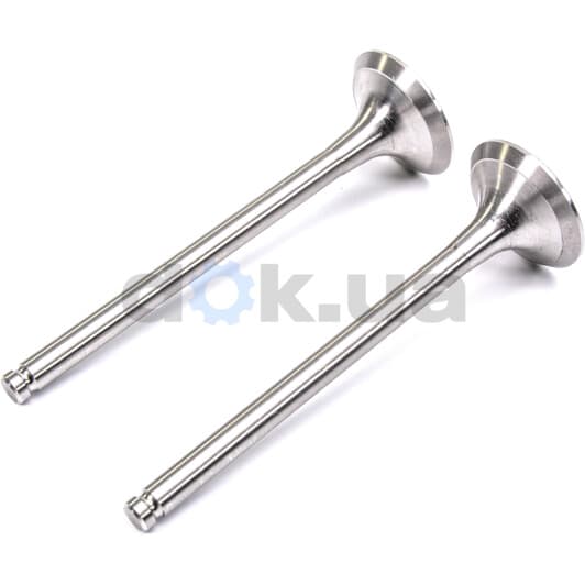 R4974/R Freccia Выпускной клапан