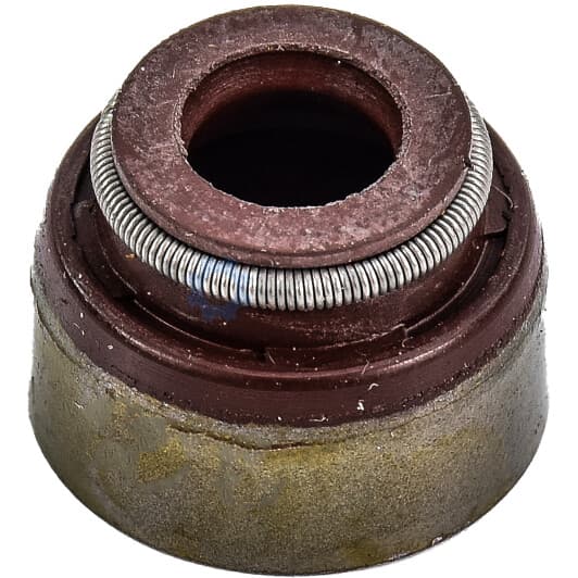 12-53067-01 Reinz Комплект сальников клапанов