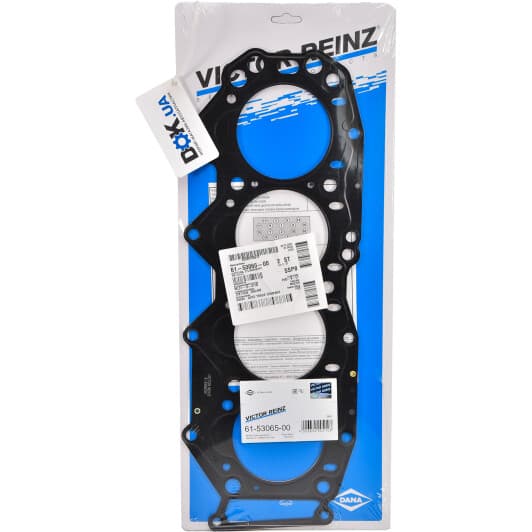 61-53065-00 Reinz Прокладка ГБЦ