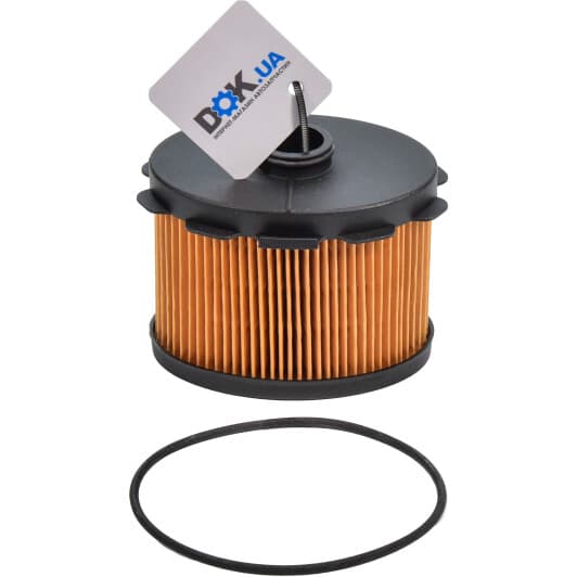 CFF100250 Champion Топливный фильтр