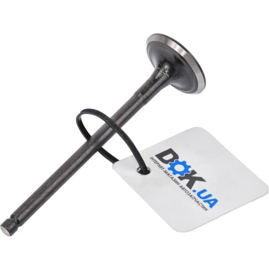 R6278/RARNT Freccia Выпускной клапан