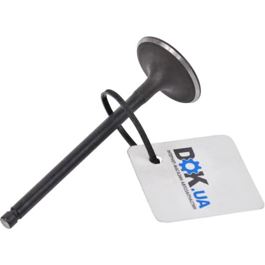 R6281/SNT Freccia Впускной клапан